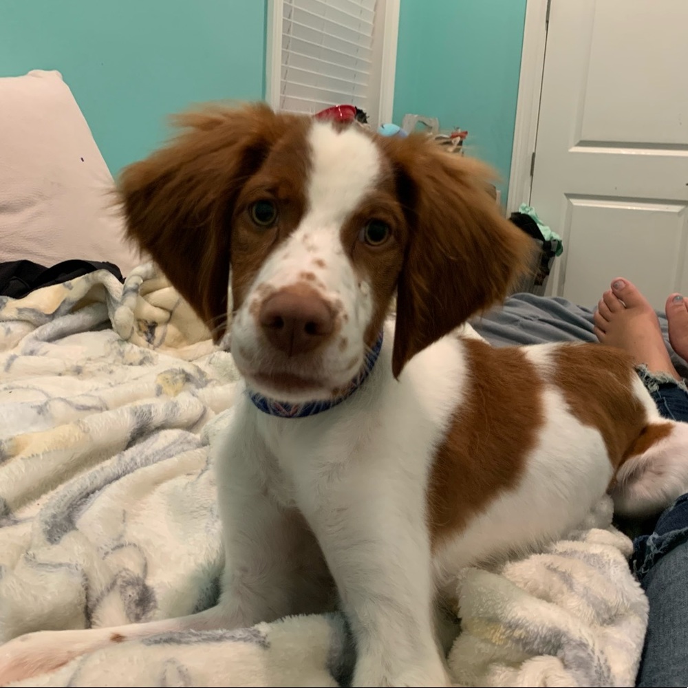 Meet your Posher, Rylee